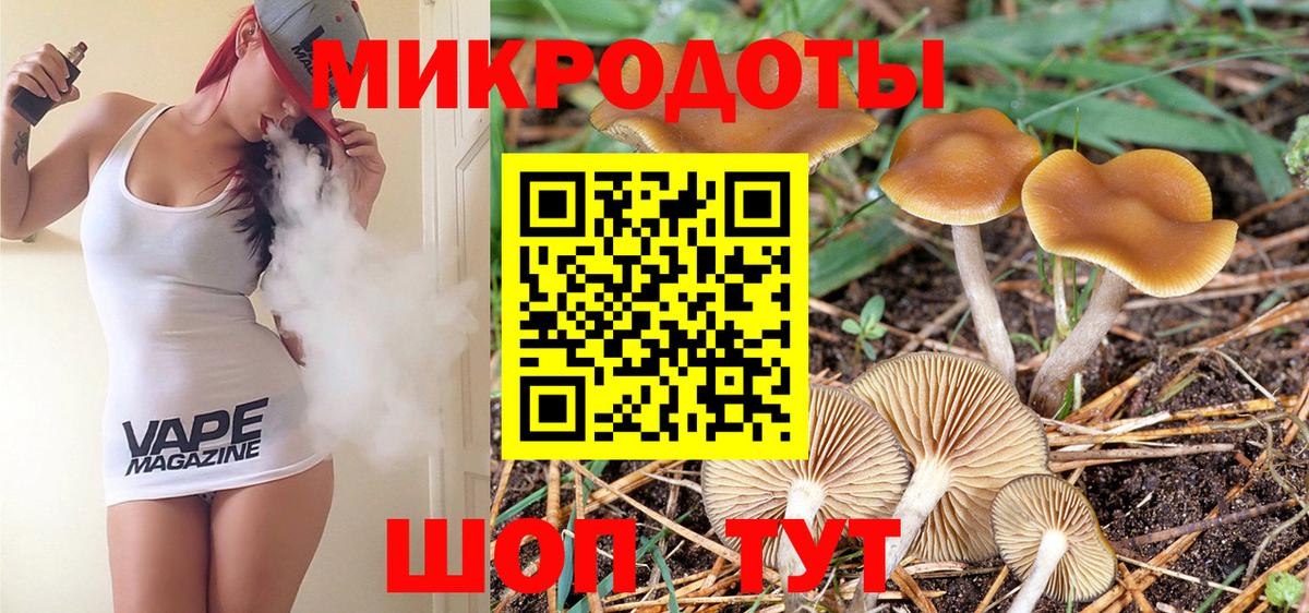 Псилоцибиновые грибы Cubensis  Вход с VPN  Бор 